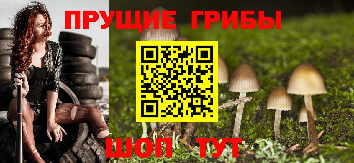 Псилоцибиновые грибы мицелий Лыткарино