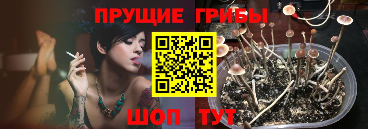 Лыткарино  Галлюциногенные грибы мицелий  Вход с VPN 